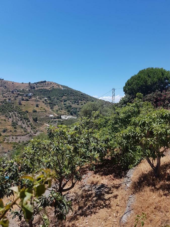 Casa Algill Ferienhaus Torrox
